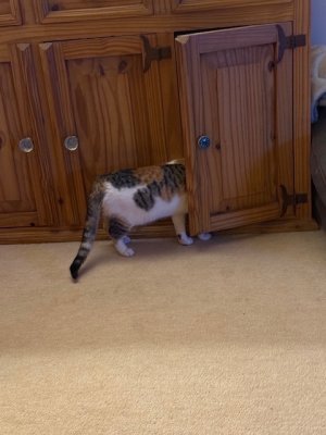 IMG_6180.jpeg IMG_6180.jpeg