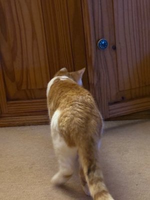 IMG_6181.jpeg IMG_6181.jpeg