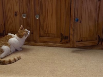 IMG_6185.jpeg IMG_6185.jpeg