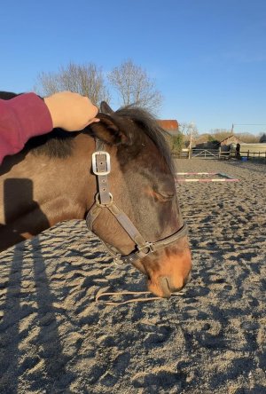 Untitled..jpg Untitled..jpg