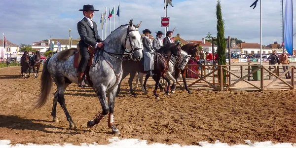 portugal-alcainca-dressage-riding-golega-blog-equus-journeys-2-1920w.webp portugal-alcainca-dressage-riding-golega-blog-equus-journeys-2-1920w.webp