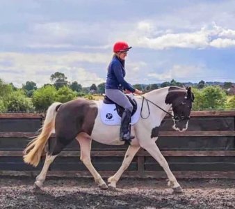 Screenshot 2026-02-26 at 12.25.01.jpg