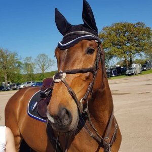 FB_IMG_1772185271707.jpg FB_IMG_1772185271707.jpg