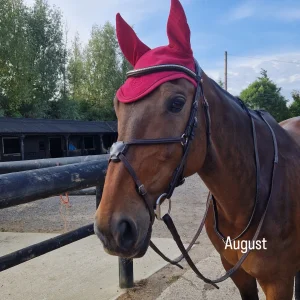 IMG_20251231_194139_119.webp IMG_20251231_194139_119.webp