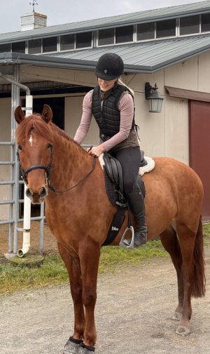 IMG_1702.jpeg IMG_1702.jpeg