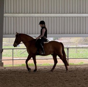 IMG_1703.jpeg IMG_1703.jpeg