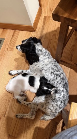 IMG_1705.jpeg IMG_1705.jpeg