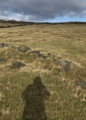 IMG_0354.jpeg IMG_0354.jpeg