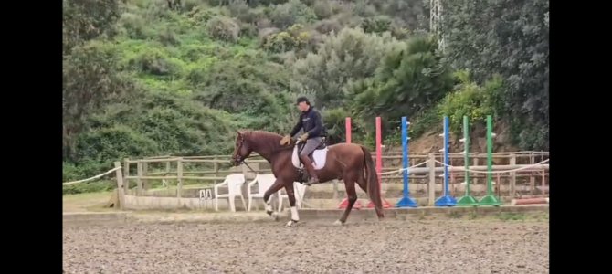 WhatsApp Image 2026-03-04 at 11.48.37.jpeg