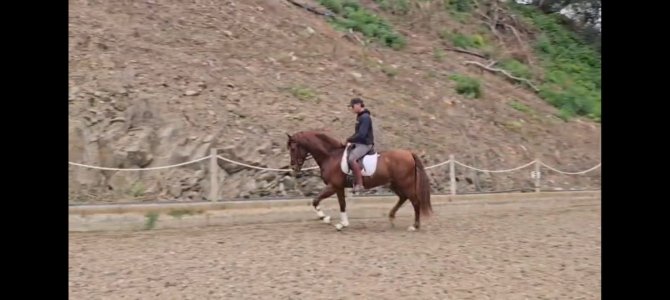 WhatsApp Image 2026-03-04 at 11.48.36 (2).jpeg