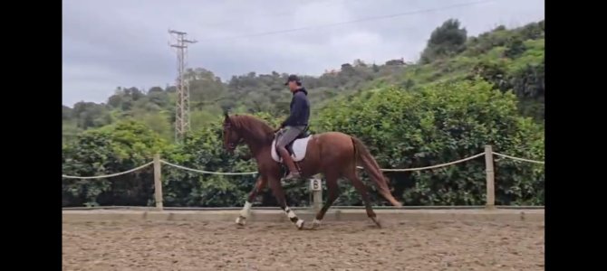 WhatsApp Image 2026-03-04 at 11.48.36 (1).jpeg