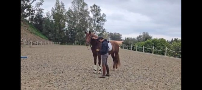 WhatsApp Image 2026-03-04 at 11.48.36.jpeg