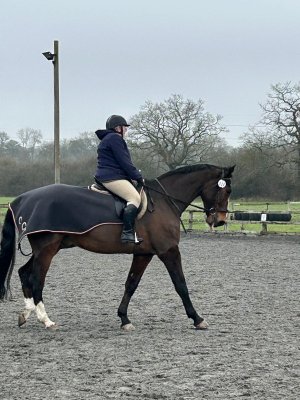 WhatsApp Image 2026-03-08 at 20.12.40.jpeg