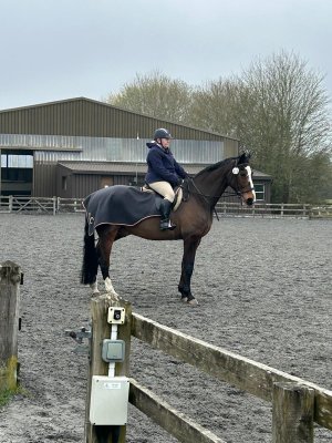 WhatsApp Image 2026-03-08 at 20.17.14.jpeg