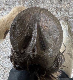 IMG_0740.jpeg IMG_0740.jpeg