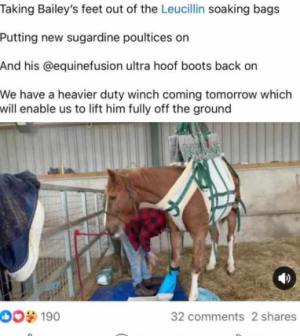 1773315312077.png 1773315312077.png