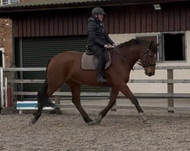 IMG_0888.jpeg IMG_0888.jpeg