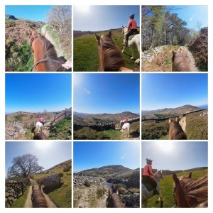 Screenshot 2025-04-09 at 15.36.52-COLLAGE.jpg