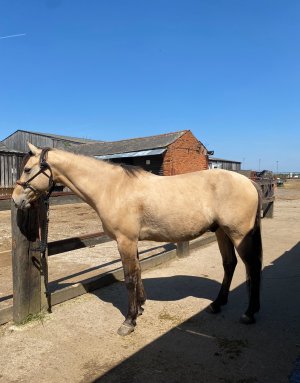 IMG_3034.jpeg IMG_3034.jpeg