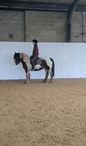 Screenshot_20260316-210301_copy_486x822.png Screenshot_20260316-210301_copy_486x822.png