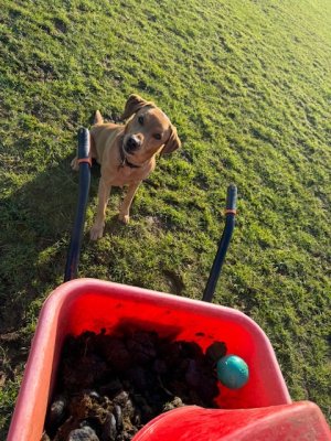 IMG_6597.jpeg IMG_6597.jpeg