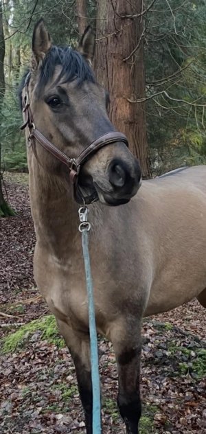 IMG_4671.jpeg IMG_4671.jpeg