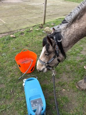 IMG_6766.jpeg IMG_6766.jpeg