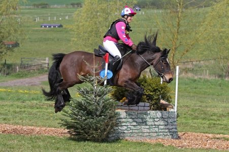 3E_0046(2).jpg 3E_0046(2).jpg