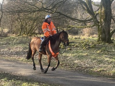 fe7633d7-cd43-4eaf-b475-2fc4280badb5.jpeg fe7633d7-cd43-4eaf-b475-2fc4280badb5.jpeg