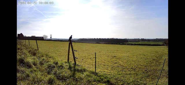 IMG_6679.png IMG_6679.png