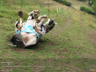 IMG_0828.png IMG_0828.png