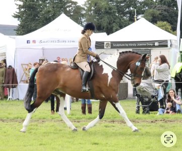 IMG_7776.jpeg IMG_7776.jpeg