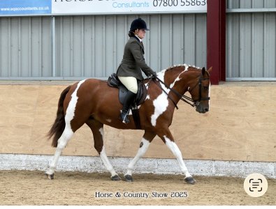 IMG_7778.jpeg IMG_7778.jpeg