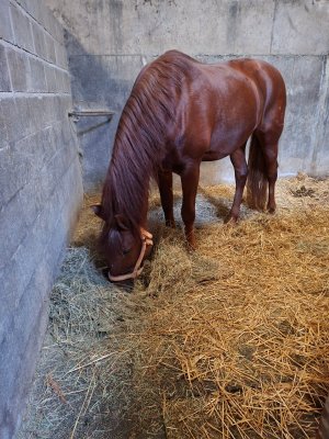 WhatsApp Image 2026-03-23 at 09.49.24.jpeg