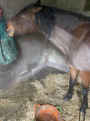 IMG_3822.jpeg IMG_3822.jpeg