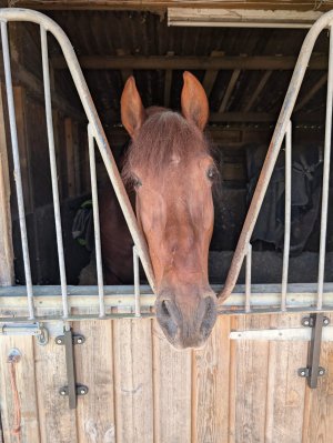 WhatsApp Image 2026-03-26 at 13.39.02.jpeg