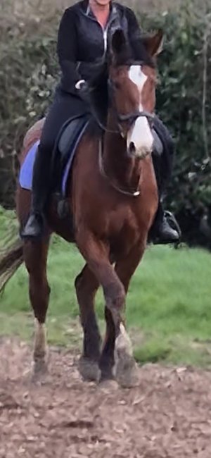 Screenshot_20260326_201947_Video Player.jpg