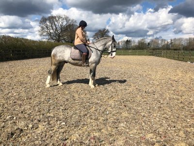 WhatsApp Image 2026-03-27 at 13.13.32.jpeg