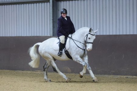 WhatsApp Image 2026-03-27 at 13.16.20.jpeg