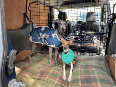 IMG_6954.jpeg IMG_6954.jpeg