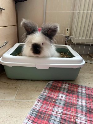 IMG_0480.jpeg IMG_0480.jpeg