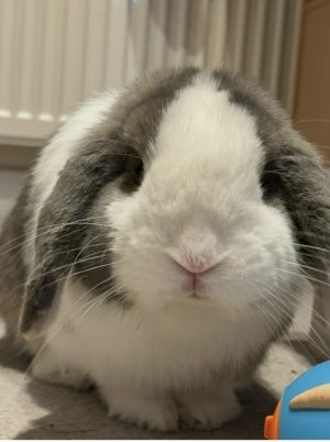 IMG_6821.jpeg IMG_6821.jpeg