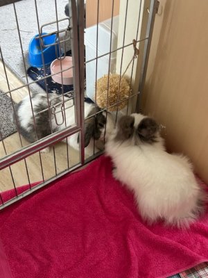 IMG_6789.jpeg IMG_6789.jpeg