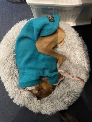 IMG_6970.jpeg IMG_6970.jpeg