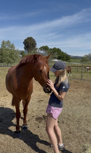 IMG_1936.jpeg IMG_1936.jpeg