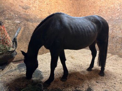 IMG_1528.jpeg IMG_1528.jpeg