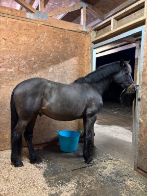 IMG_4470.jpeg IMG_4470.jpeg