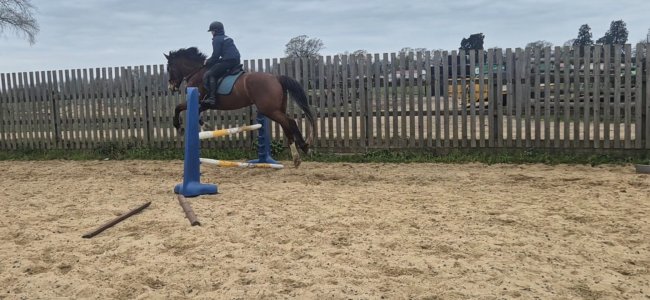 Screenshot_20260402_133411_Video Player.jpg