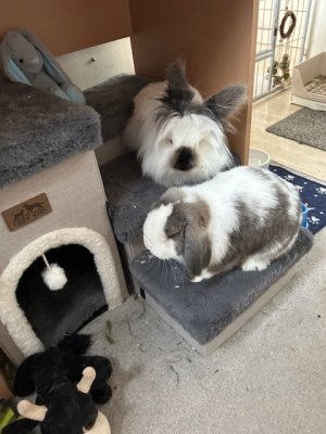 IMG_6976.jpeg IMG_6976.jpeg