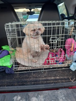 1000000690.jpg 1000000690.jpg